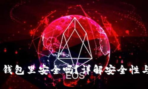 USDT放到钱包里安全吗？详解安全性与最佳实践