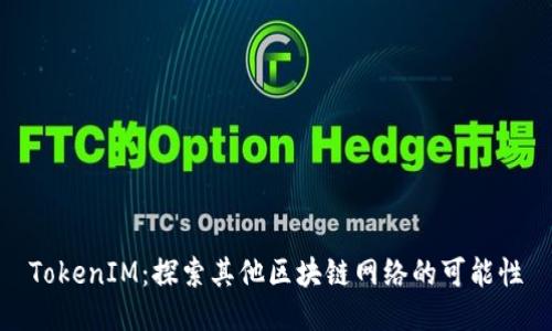 TokenIM：探索其他区块链网络的可能性