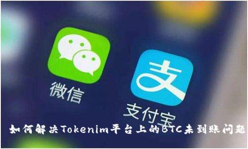 : 如何解决Tokenim平台上的BTC未到账问题？