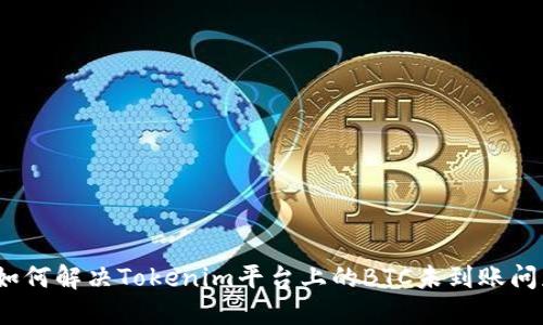 : 如何解决Tokenim平台上的BTC未到账问题？