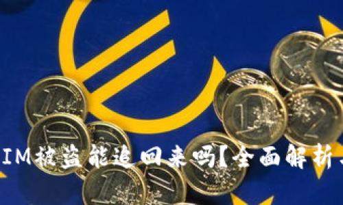 TokenIM被盗能追回来吗？全面解析与建议