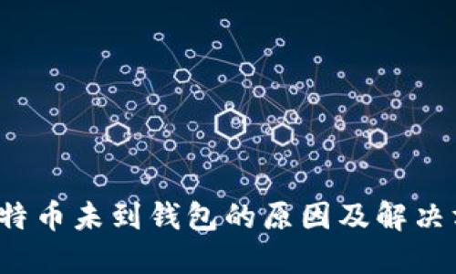 比特币未到钱包的原因及解决方案