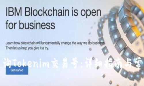 如何查询Tokenim交易号：详细指南与常见问题