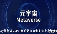 Gopay钱包与USDT：数字货币