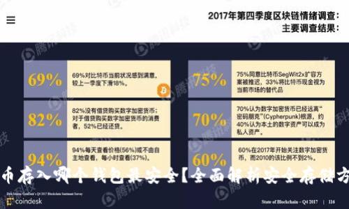屎币存入哪个钱包最安全？全面解析安全存储方案