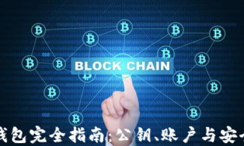 
比特币钱包完全指南：公钥、账户与安全性解读