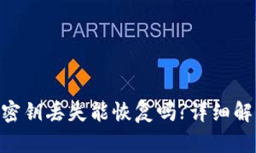 Tokenim钱包密钥丢失能恢复吗?详细解析与解决方案