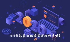 BM钱包真的拥有百万比特币