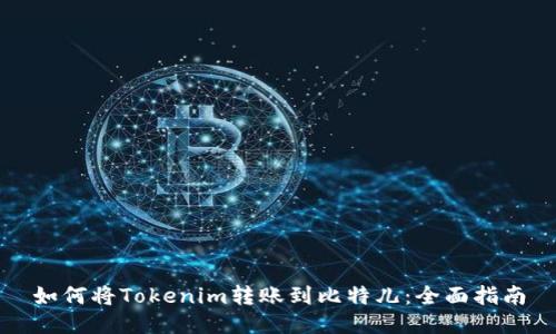 如何将Tokenim转账到比特儿：全面指南