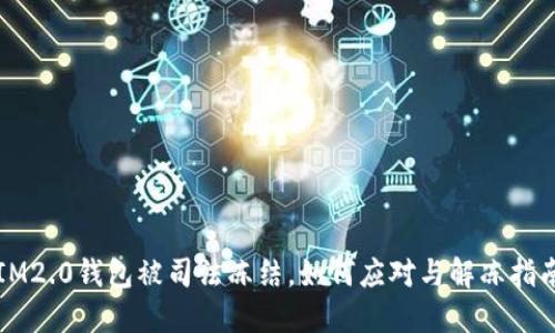 IM2.0钱包被司法冻结，如何应对与解冻指南