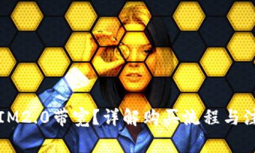 怎么买IM2.0带宽？详解购买流程与注意事项