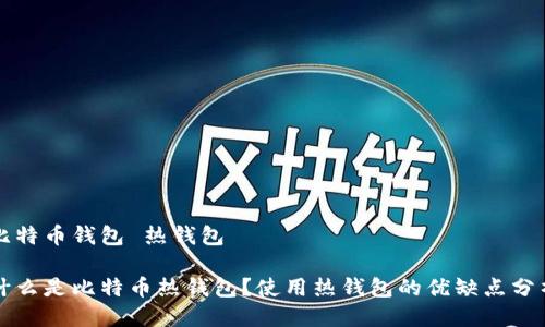 比特币钱包 热钱包

什么是比特币热钱包？使用热钱包的优缺点分析