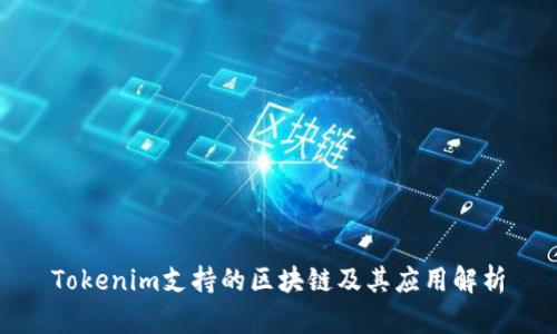 Tokenim支持的区块链及其应用解析