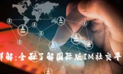  IM2.0外国版详解：全面了