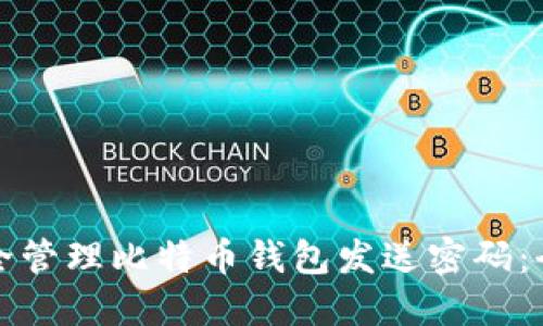 如何安全管理比特币钱包发送密码：全面指南