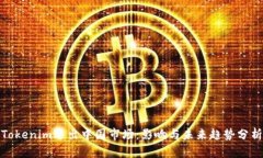 Tokenim退出中国市场：影响
