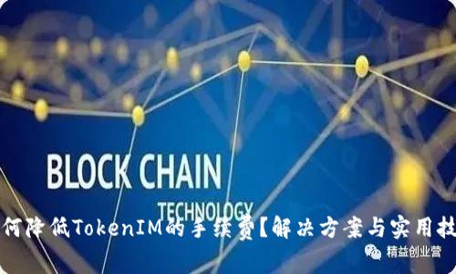 如何降低TokenIM的手续费？解决方案与实用技巧