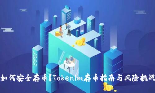 如何安全存币？Tokenim存币指南与风险挑战