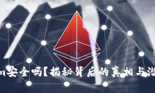 Tokenim安全吗？揭秘背后的真相与潜在风险