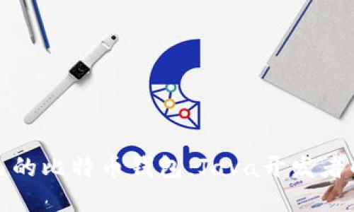 构建属于自己的比特币钱包：Java开发者的挑战与机会