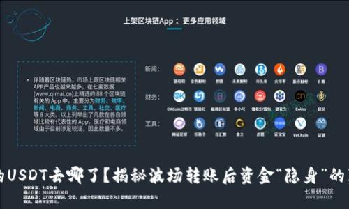你的USDT去哪了？揭秘波场转账后资金“隐身”的真相