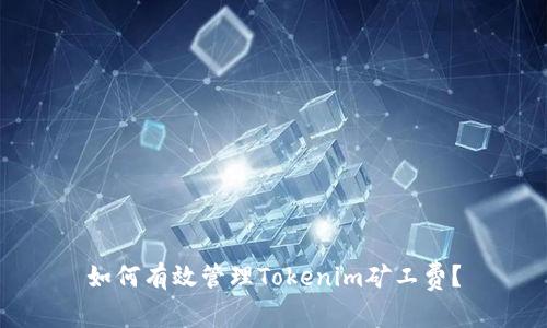 如何有效管理Tokenim矿工费？