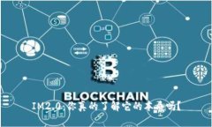 IM2.0：你真的了解它的本质