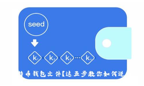 丢失比特币钱包文件？这五步教你如何逆转危机！