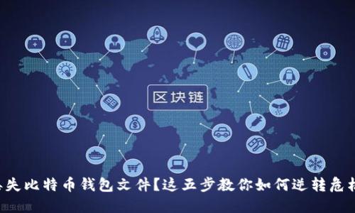 丢失比特币钱包文件？这五步教你如何逆转危机！