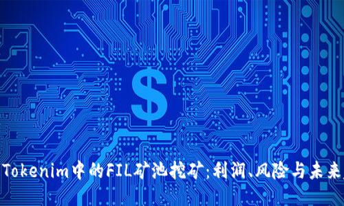 探讨Tokenim中的FIL矿池挖矿：利润、风险与未来趋势
