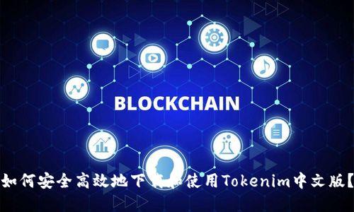 如何安全高效地下载和使用Tokenim中文版？