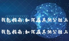 创建一个Tokenim钱包指南：如何在其他公链上轻松