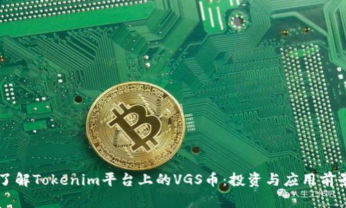 深入了解Tokenim平台上的VGS币：投资与应用前景分析